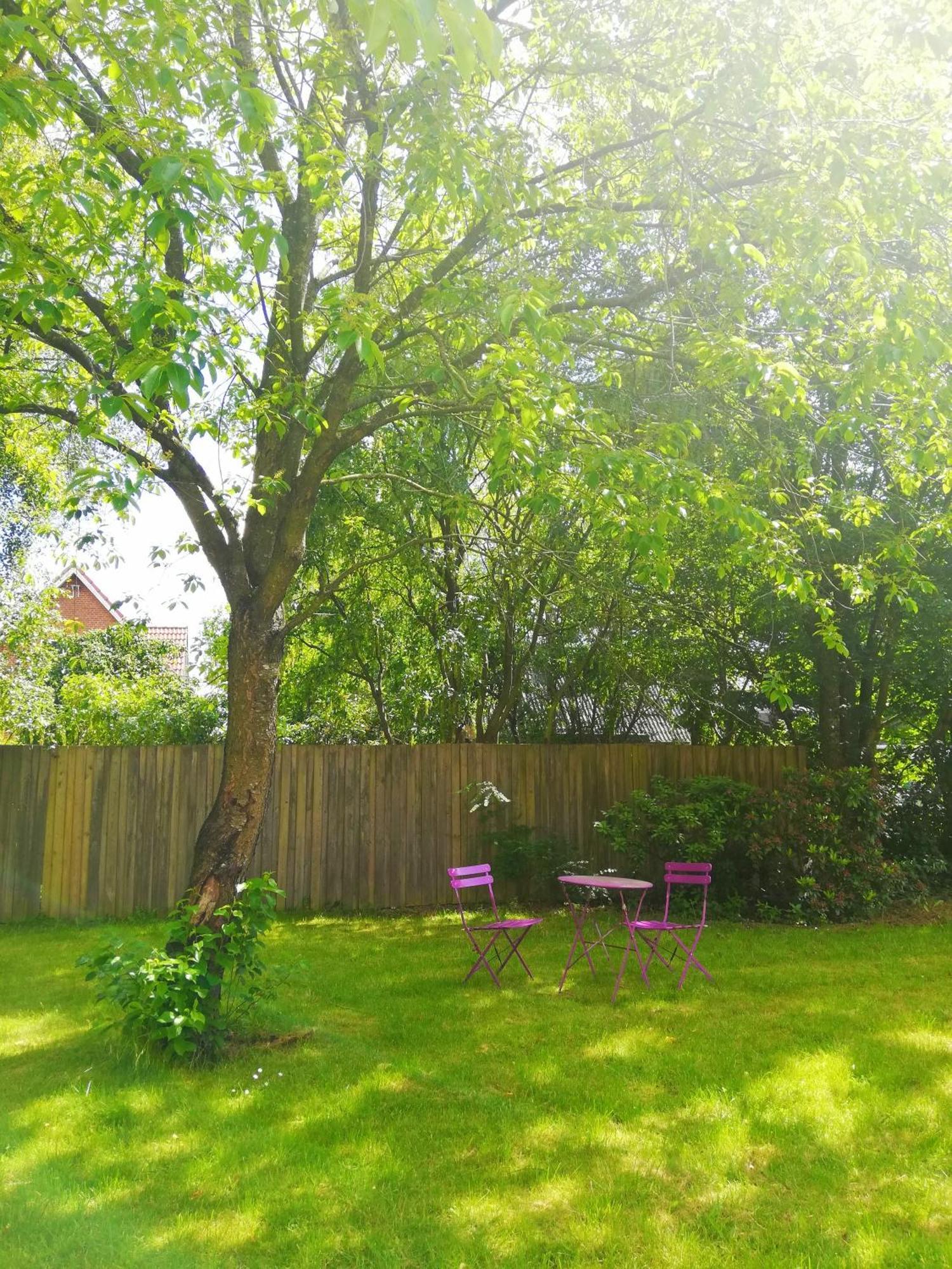 5 Min Walk To Lego House - With Private Bathroom N4 *